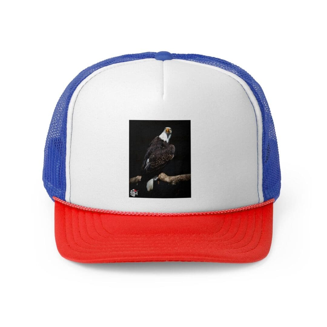 Tricolor cap with a printed image on the front panel.