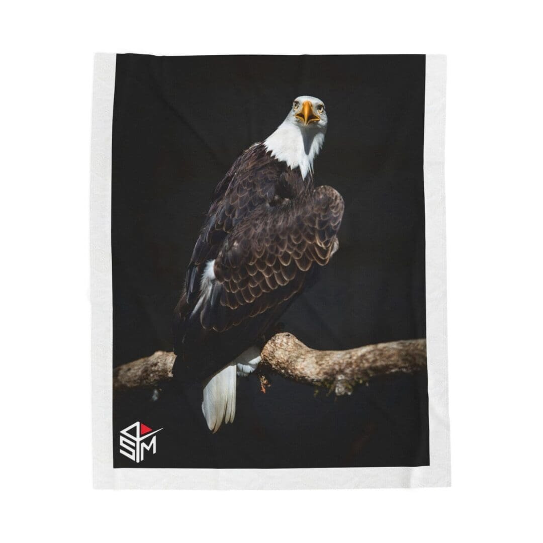 A majestic bald eagle perched on a branch against a dark background.